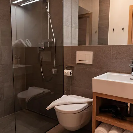 Max Relax Summercard Included In-ski Out * ツェル アム ゼー